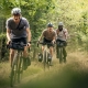 Gravel Bikes: Komfortabel, schnell und echte Allrounder